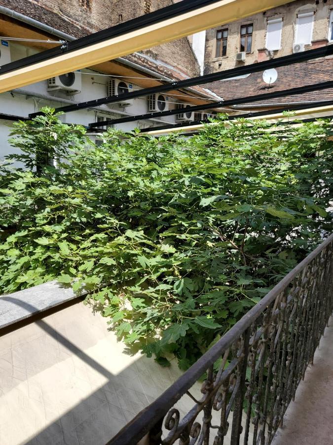 Klauzal19 Rooms Budapešť Exteriér fotografie